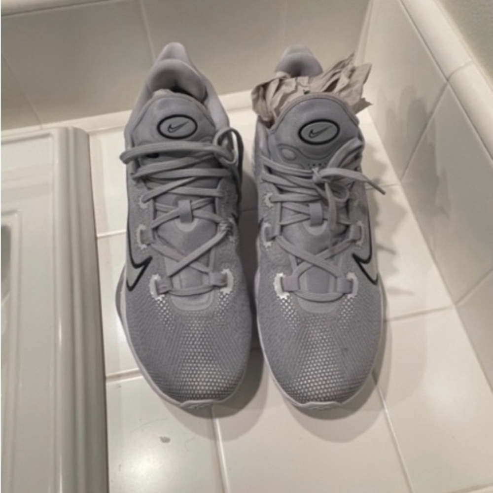 Nike Air Zoom BB NXT TB 'Wolf Grey'